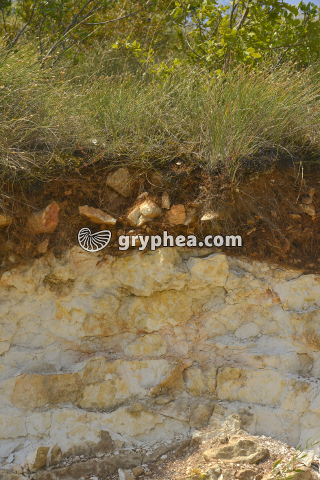 Sol sur calcaire - gryphea.com